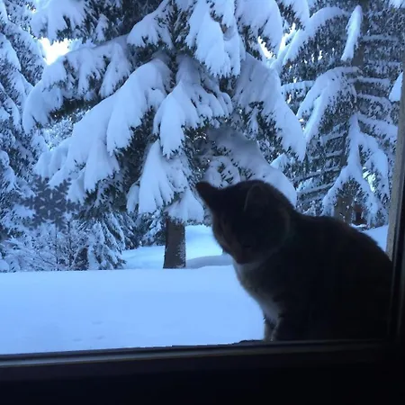 Vikendica Gondola * Jahorina